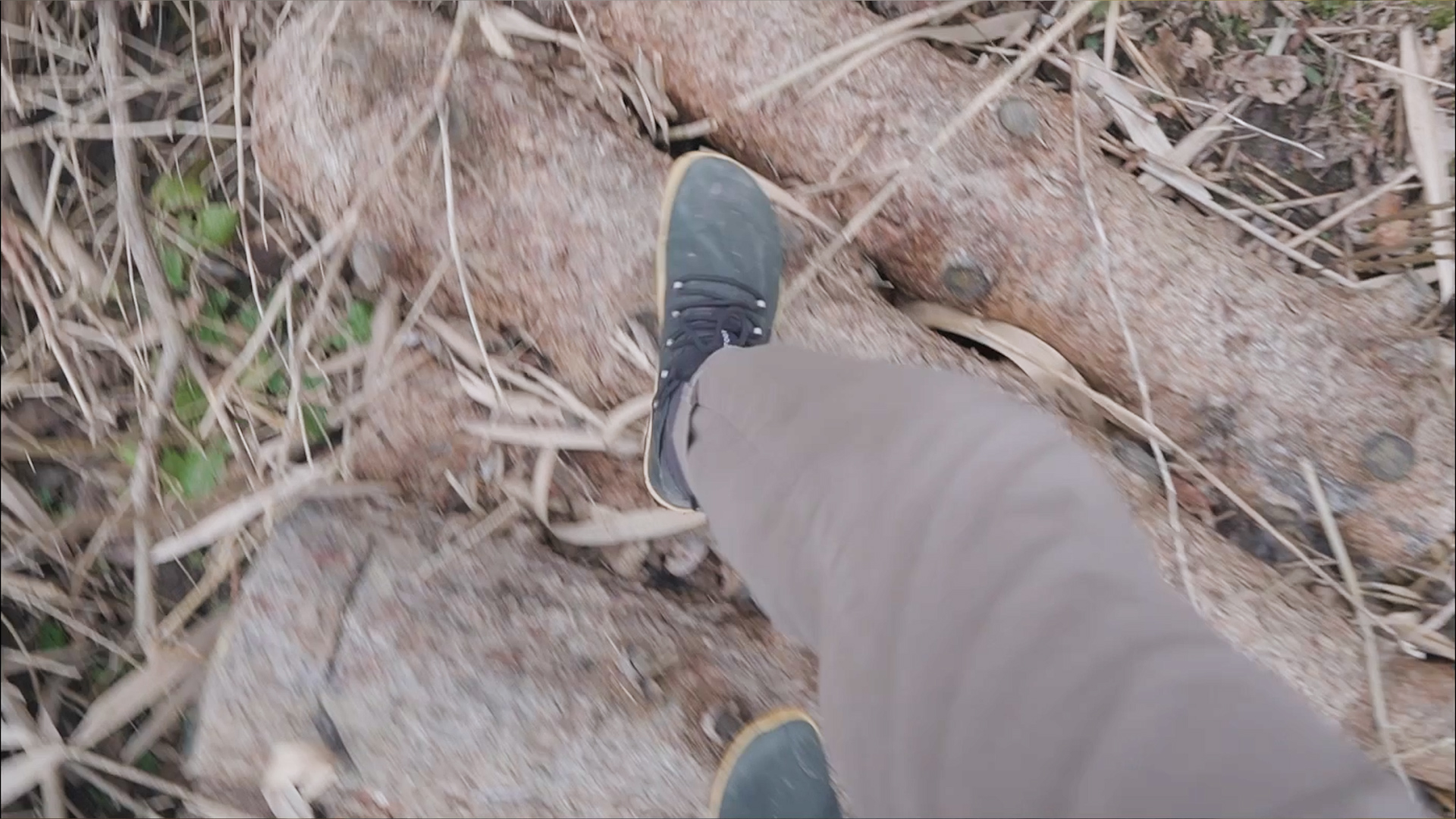 Vivobarefoot Magna Fg Pov Hiking Logs Trail